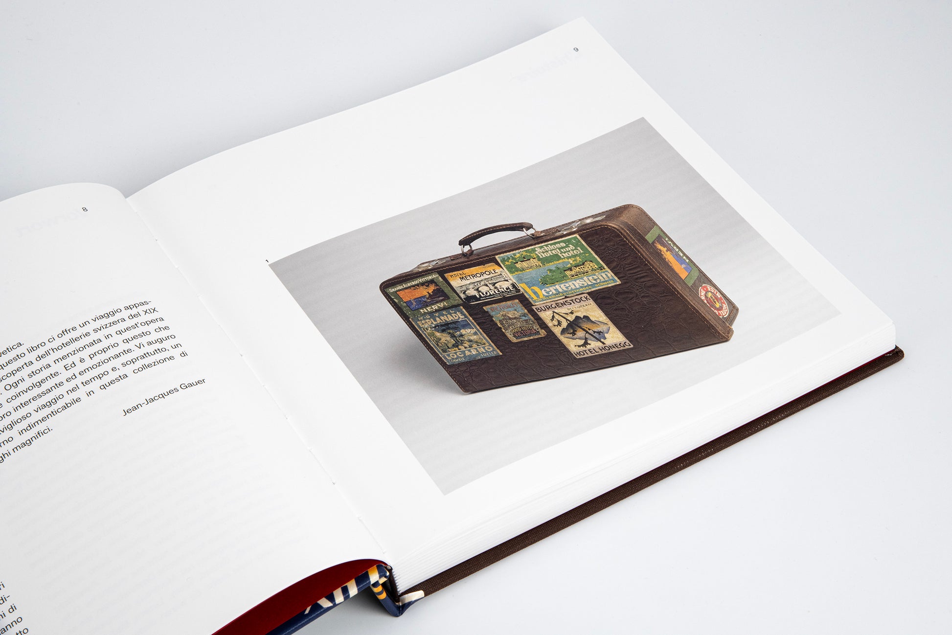 100 swiss hotels book